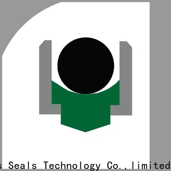 DMS Seal Manufacturer Top shaft seals online for construction machinery 1