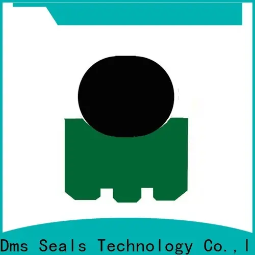 DMS Seal Manufacturer what is a rotary lip seal factory for construction machinery 1