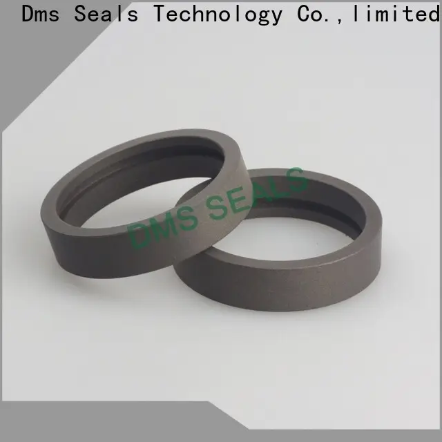 DMS Seal Manufacturer different types of roller bearings manufacturers for sale 1
