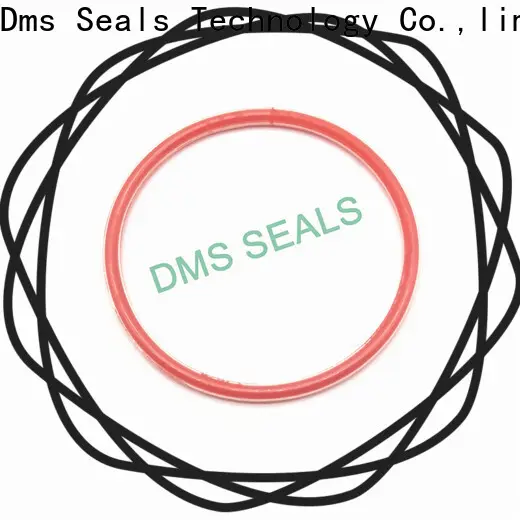 DMS Seal Manufacturer clear silicone o rings suppliers Supply in highly aggressive chemical processing 1