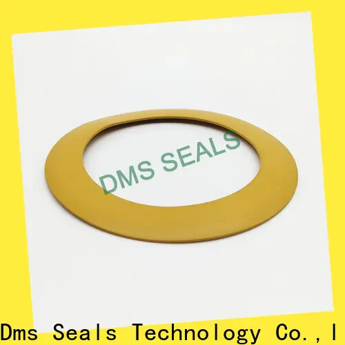 DMS Seal Manufacturer best gasket material for water seals for preventing the seal from being squeezed 1