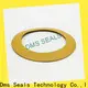 DMS Seal Manufacturer best gasket material for water seals for preventing the seal from being squeezed 1