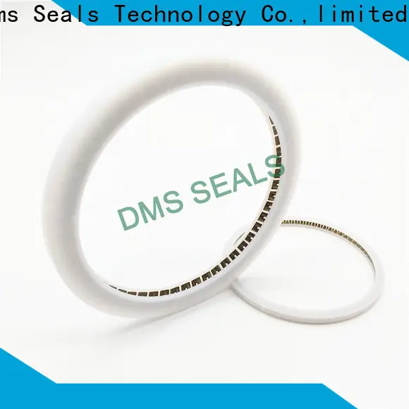 DMS Seal Manufacturer New conical spring mechanical seal for business for aviation 1