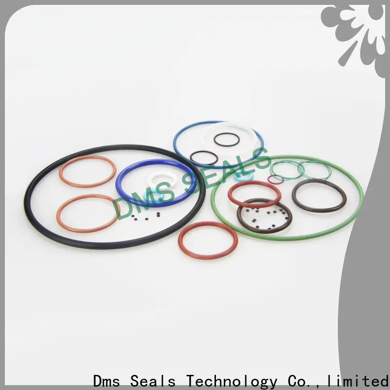 DMS Seal Manufacturer Custom rectangular o ring seal for sale 1