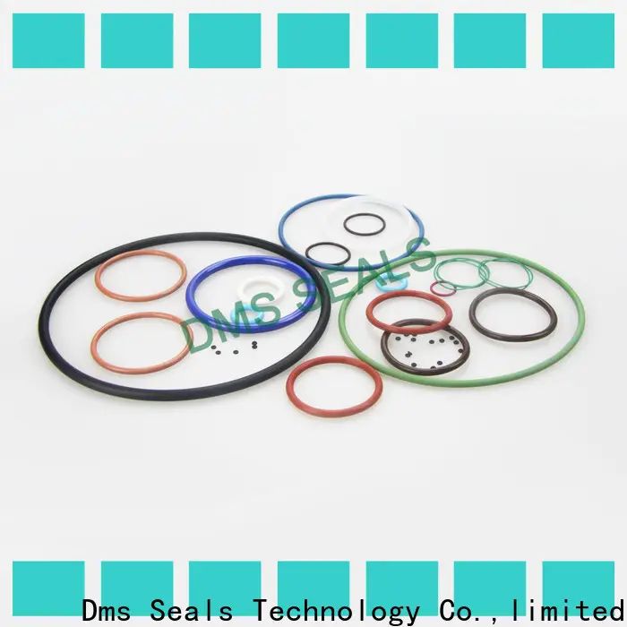 DMS Seal Manufacturer Top thin rubber o rings factory for static sealing 1