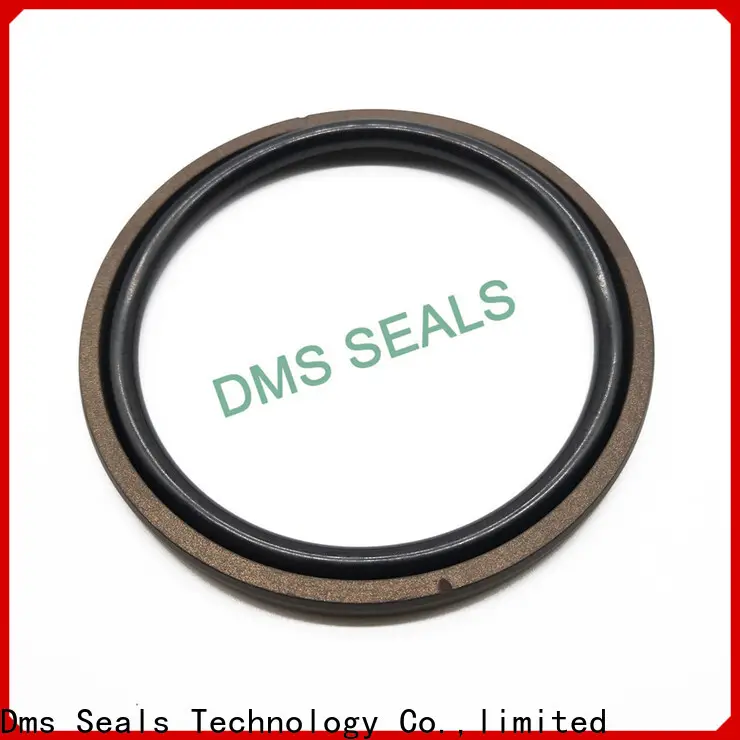 DMS Seal Manufacturer hydraulic cylinder seals and wipers manufacturers for light and medium hydraulic systems 1