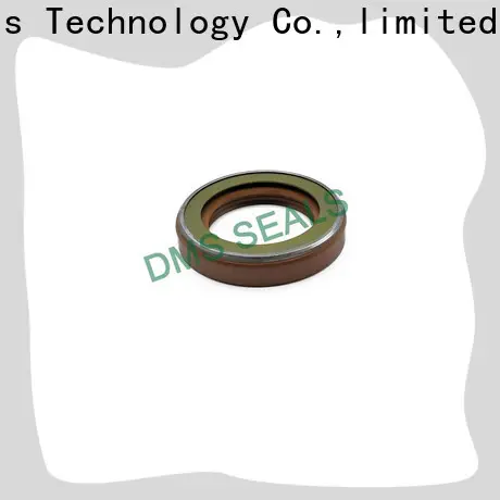DMS Seal Manufacturer piston oil seal with integrated spring for sale 1