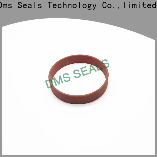 DMS Seal Manufacturer industrial roller bearings guide strip as the guide sleeve 1