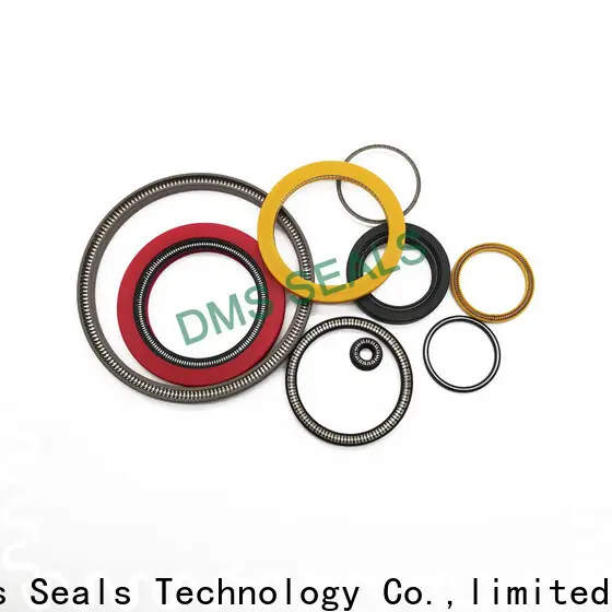 DMS Seal Manufacturer spring energized seals company for reciprocating piston rod or piston single acting seal 1