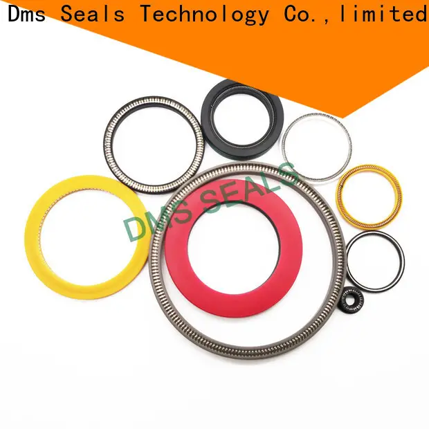DMS Seal Manufacturer garter spring seal company for aviation 1