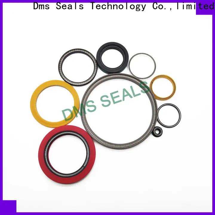 DMS Seal Manufacturer oil seal spring manufacturers for reciprocating piston rod or piston single acting seal 1