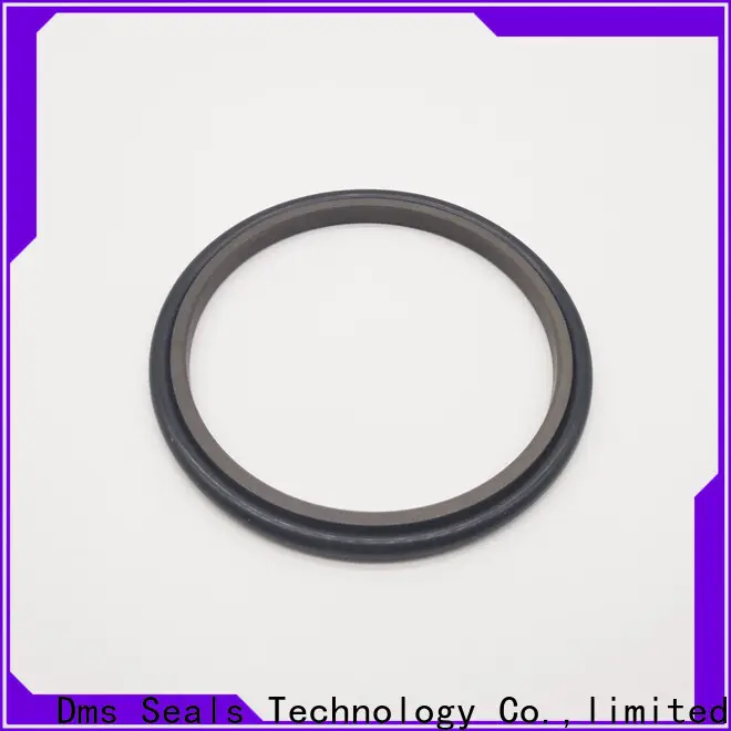 DMS Seal Manufacturer rod seal wholesale 1