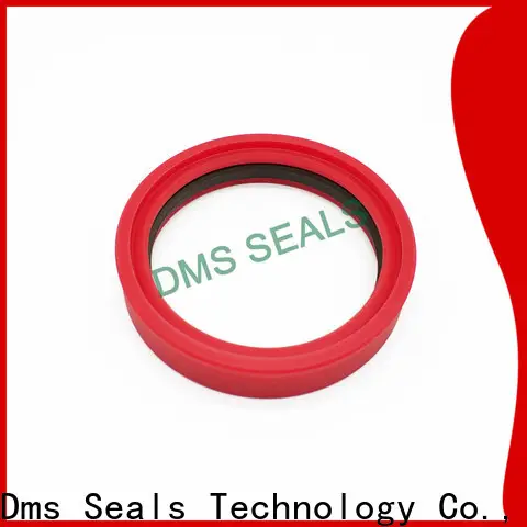 DMS Seal Manufacturer hot sale rubber seal molding supplier 1