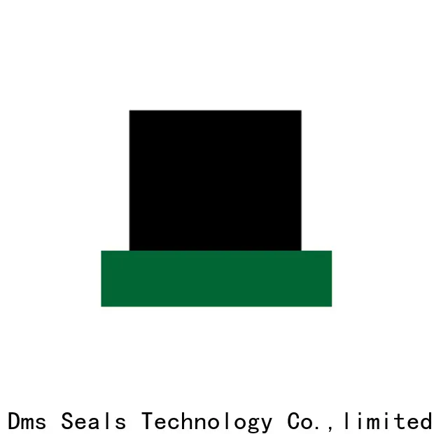 DMS Seal Manufacturer wiper seal Suppliers to high and low speed 1