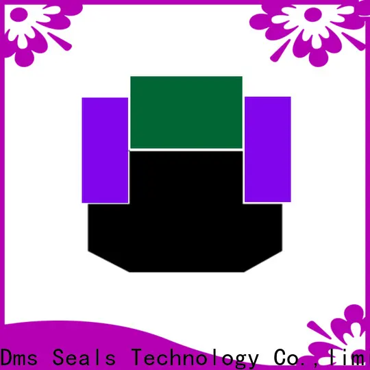 DMS Seal Manufacturer pneumatic piston seals glyd ring for light and medium hydraulic systems 1