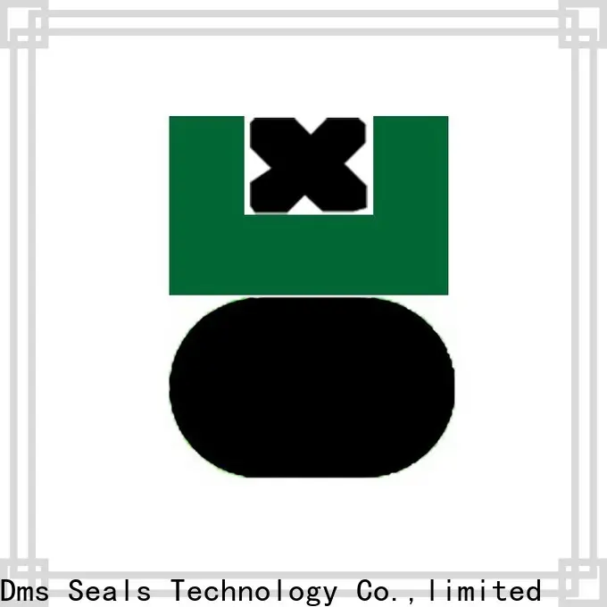 DMS Seal Manufacturer Latest oil seal hydraulic company for sale 1