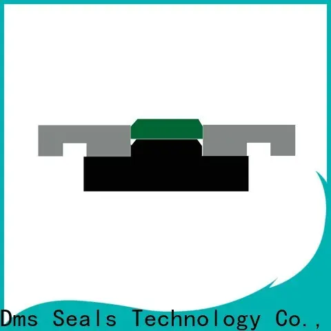 DMS Seal Manufacturer High-quality piston seal hydraulic Supply for sale 1