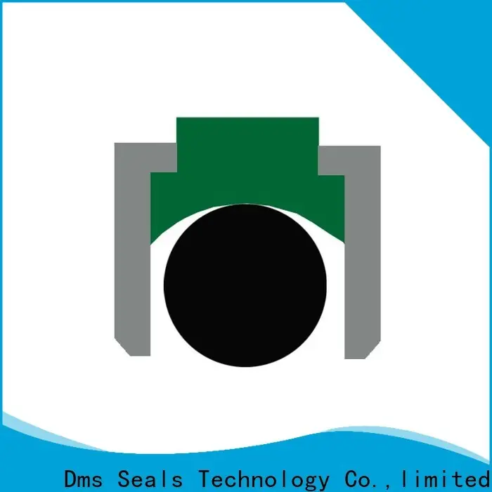 Wholesale piston lip seal manufacturers for pneumatic equipment 1