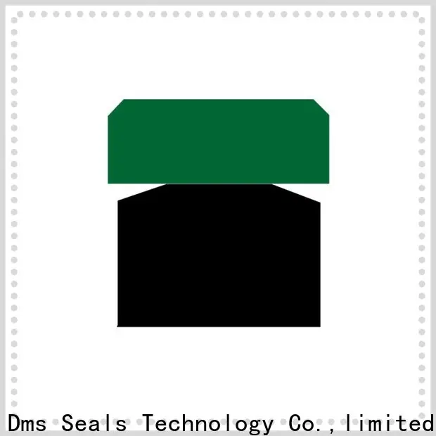 DMS Seal Manufacturer Latest rod seals or piston seal company for pneumatic equipment 1