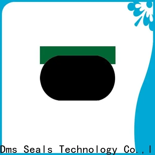 DMS Seal Manufacturer hydraulic cylinder seals and wipers with nbr or fkm o ring for pneumatic equipment 1
