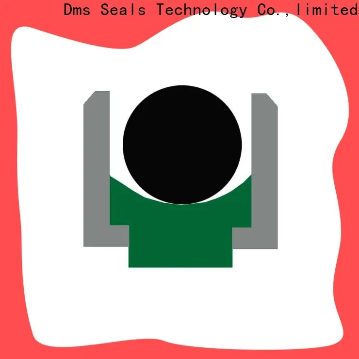 DMS Seal Manufacturer metric hydraulic cylinder seals Supply to high and low speed 1