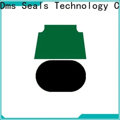 DMS Seal Manufacturer New hydraulic seal design Supply for light and medium hydraulic systems 1