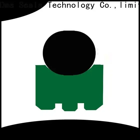 DMS Seal Manufacturer Best shaft wiper seal factory for automotive equipment 1