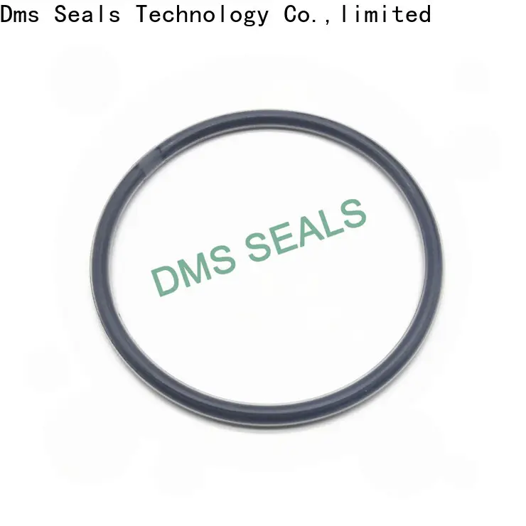 DMS Seal Manufacturer round rubber ring Supply for static sealing 1