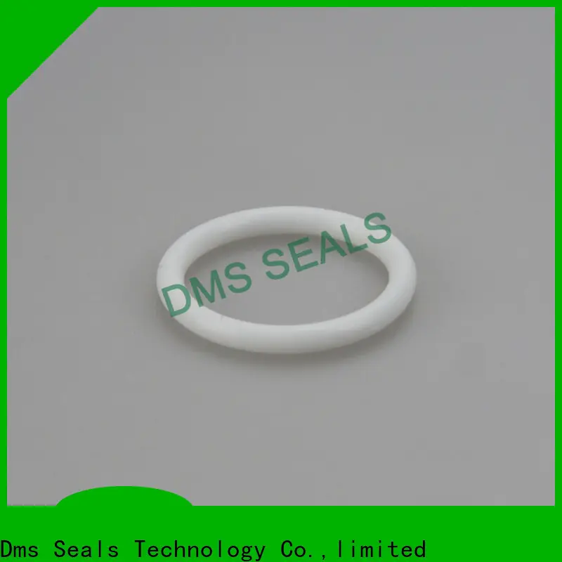 DMS Seal Manufacturer High-quality 009 o ring company in highly aggressive chemical processing 1