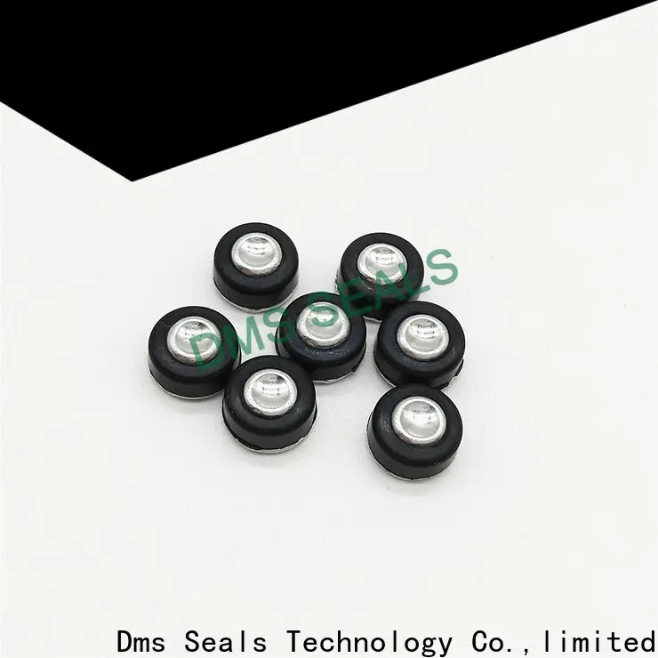 DMS Seal Manufacturer metal l rubber strip manufacturers for high pressure 1