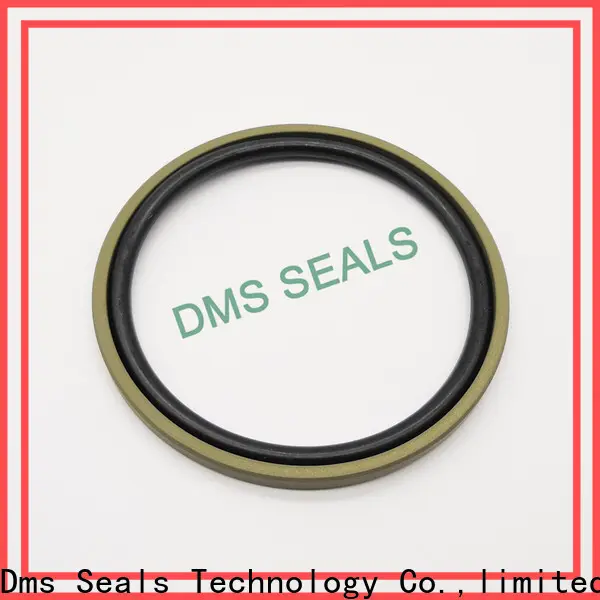 hot sale oil seal manufacturers china supplier for larger piston clearance 1