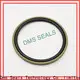 hot sale oil seal manufacturers china supplier for larger piston clearance 1