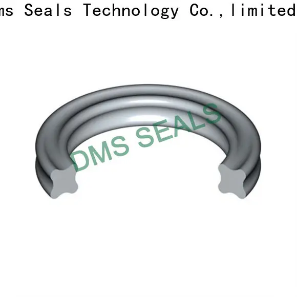 DMS Seal Manufacturer black silicone o ring Suppliers in highly aggressive chemical processing 1