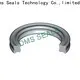DMS Seal Manufacturer black silicone o ring Suppliers in highly aggressive chemical processing 1