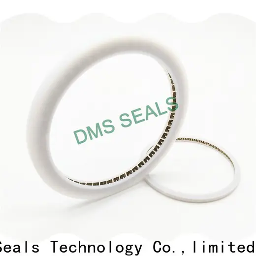 DMS Seal Manufacturer spiral spring gasket factory for reciprocating piston rod or piston single acting seal 1