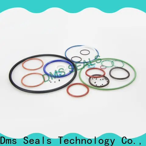 DMS Seal Manufacturer flat rubber seal ring Suppliers for sale 1