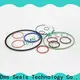 DMS Seal Manufacturer flat rubber seal ring Suppliers for sale 1