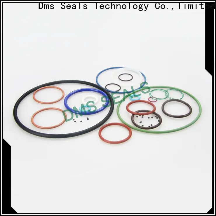 DMS Seal Manufacturer 5.5 inch o ring Suppliers in highly aggressive chemical processing 1