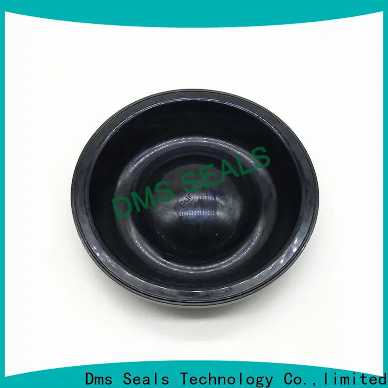 DMS Seal Manufacturer metal h section rubber seal with valuable elasticity for air bottle 1