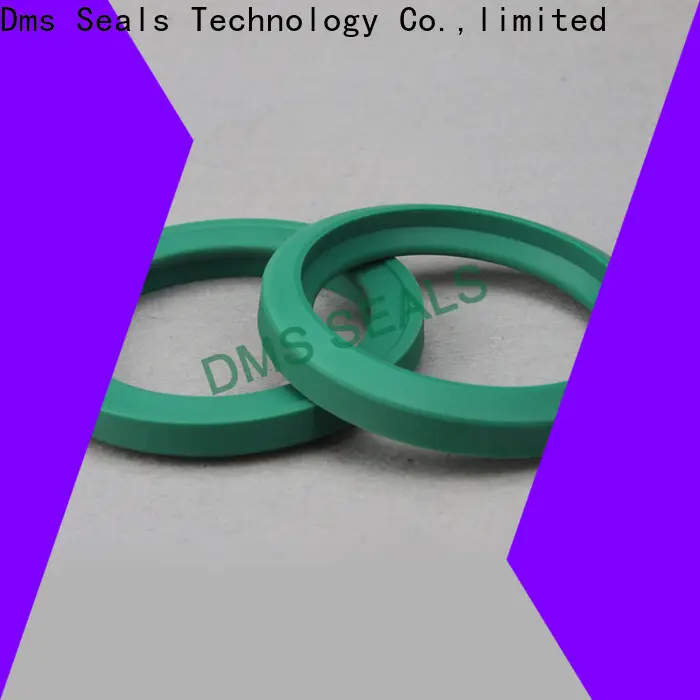 DMS Seal Manufacturer compact hydraulic cylinder piston supplier for larger piston clearance 1