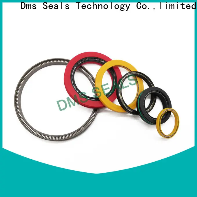DMS Seal Manufacturer garter spring seal company for reciprocating piston rod or piston single acting seal 1