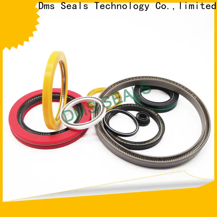 DMS Seal Manufacturer oil seal manufacturer Supply for aviation 1