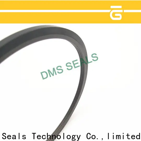 DMS Seal Manufacturer best molded rubber seals o ring for piston and hydraulic cylinder 1