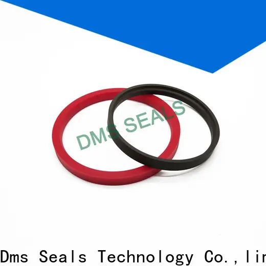 DMS Seal Manufacturer custom epdm seals suppliers supplier for piston and hydraulic cylinder 1