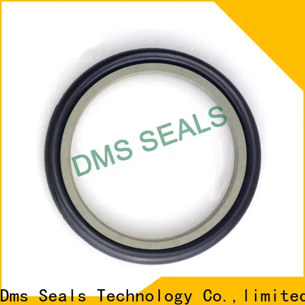 DMS Seal Manufacturer mechanical seals pune o ring for piston and hydraulic cylinder 1