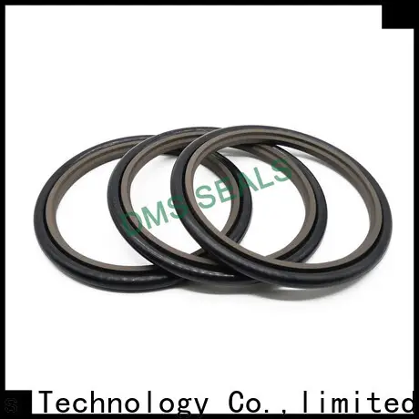 DMS Seal Manufacturer hot sale natural rubber seal wholesale 1