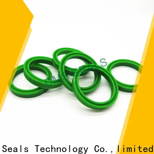 DMS Seal Manufacturer hydraulic oil seal supplier for larger piston clearance 1