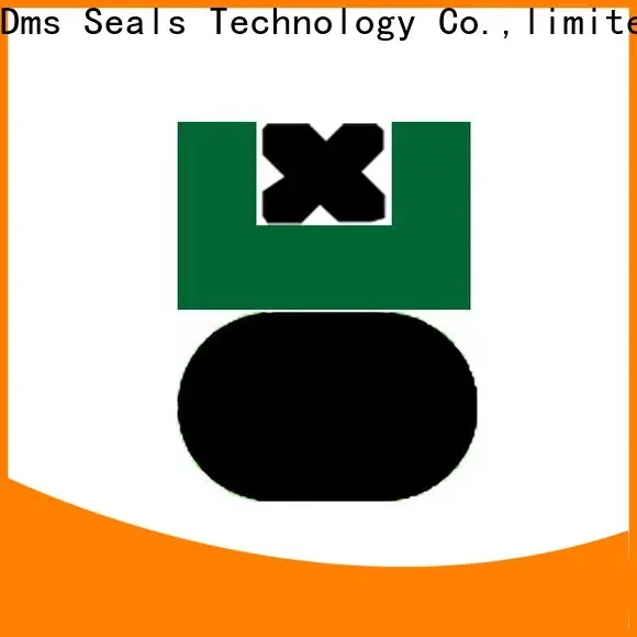 DMS Seal Manufacturer hydraulic cylinder piston seals Suppliers for pneumatic equipment 1