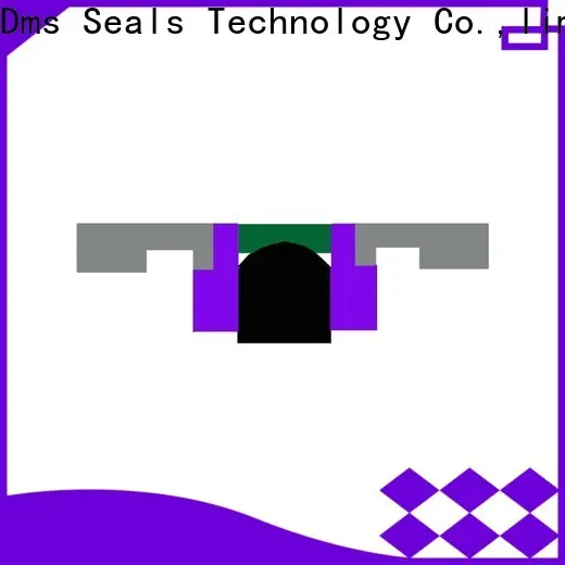 DMS Seal Manufacturer merkel piston seal for business for light and medium hydraulic systems 1