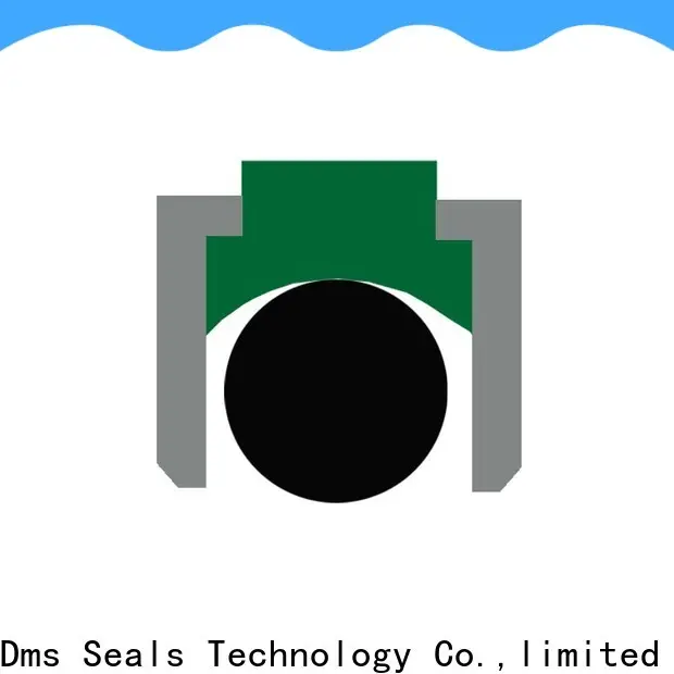 DMS Seal Manufacturer hydraulic piston seals suppliers Suppliers for pneumatic equipment 1